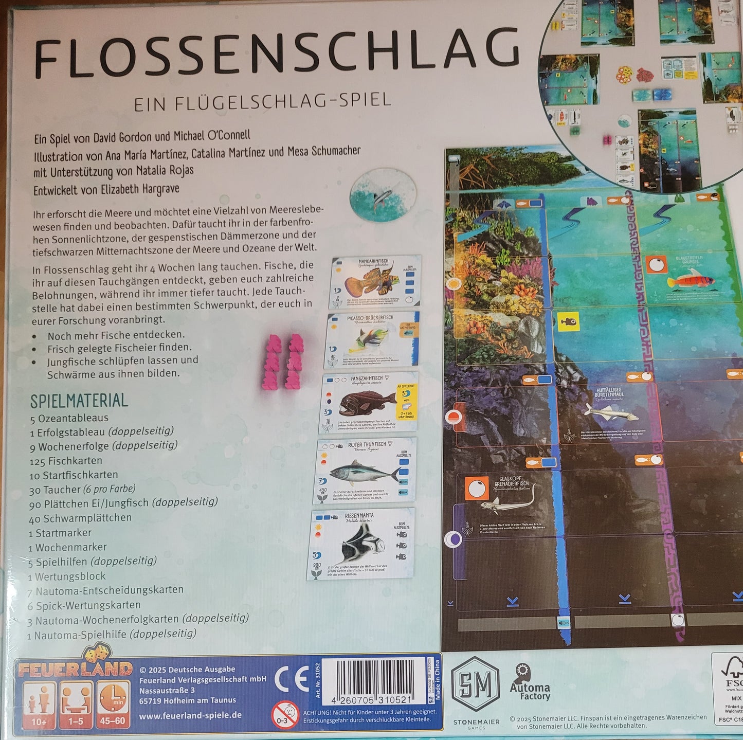Flossenschlag
