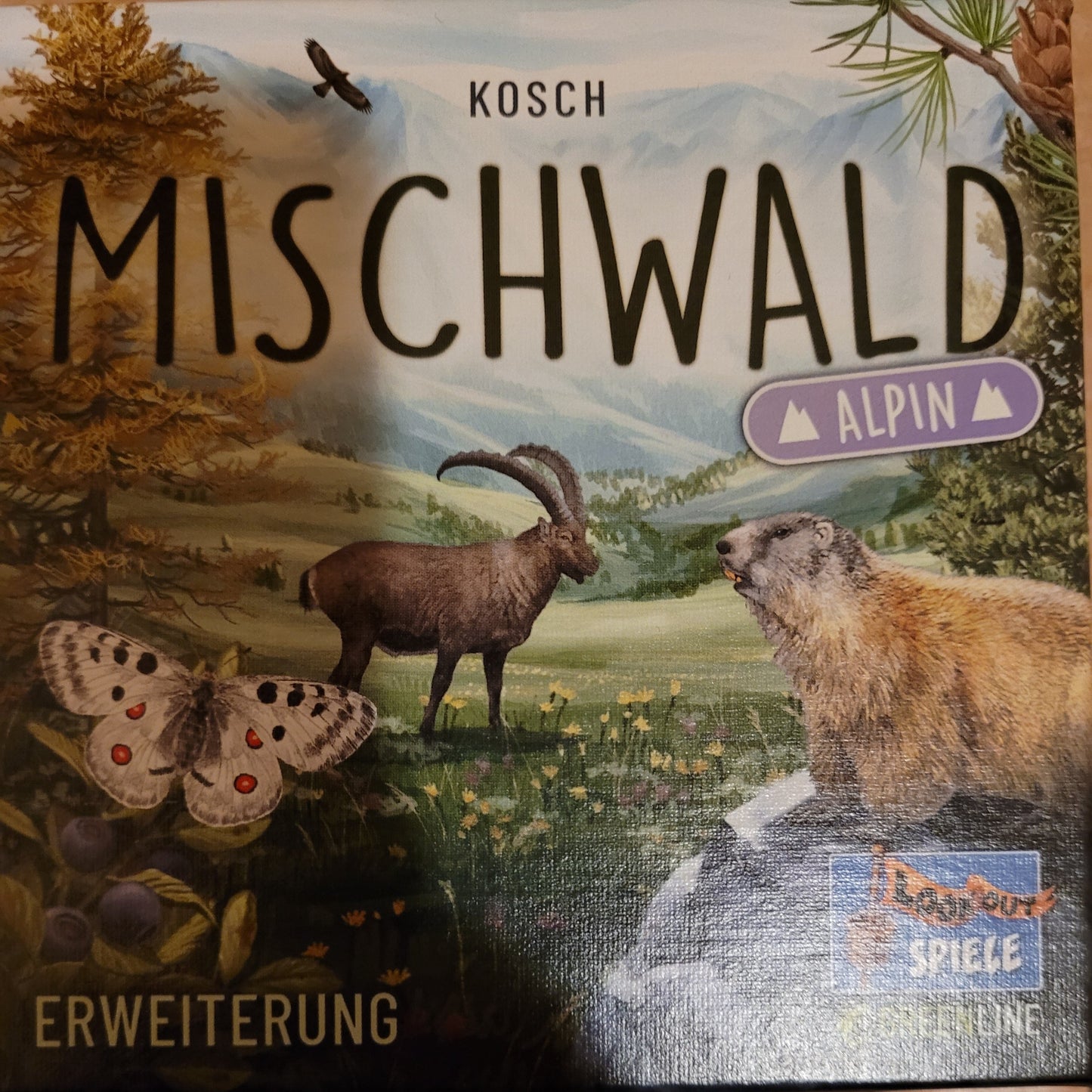 Mischwald - Alpin