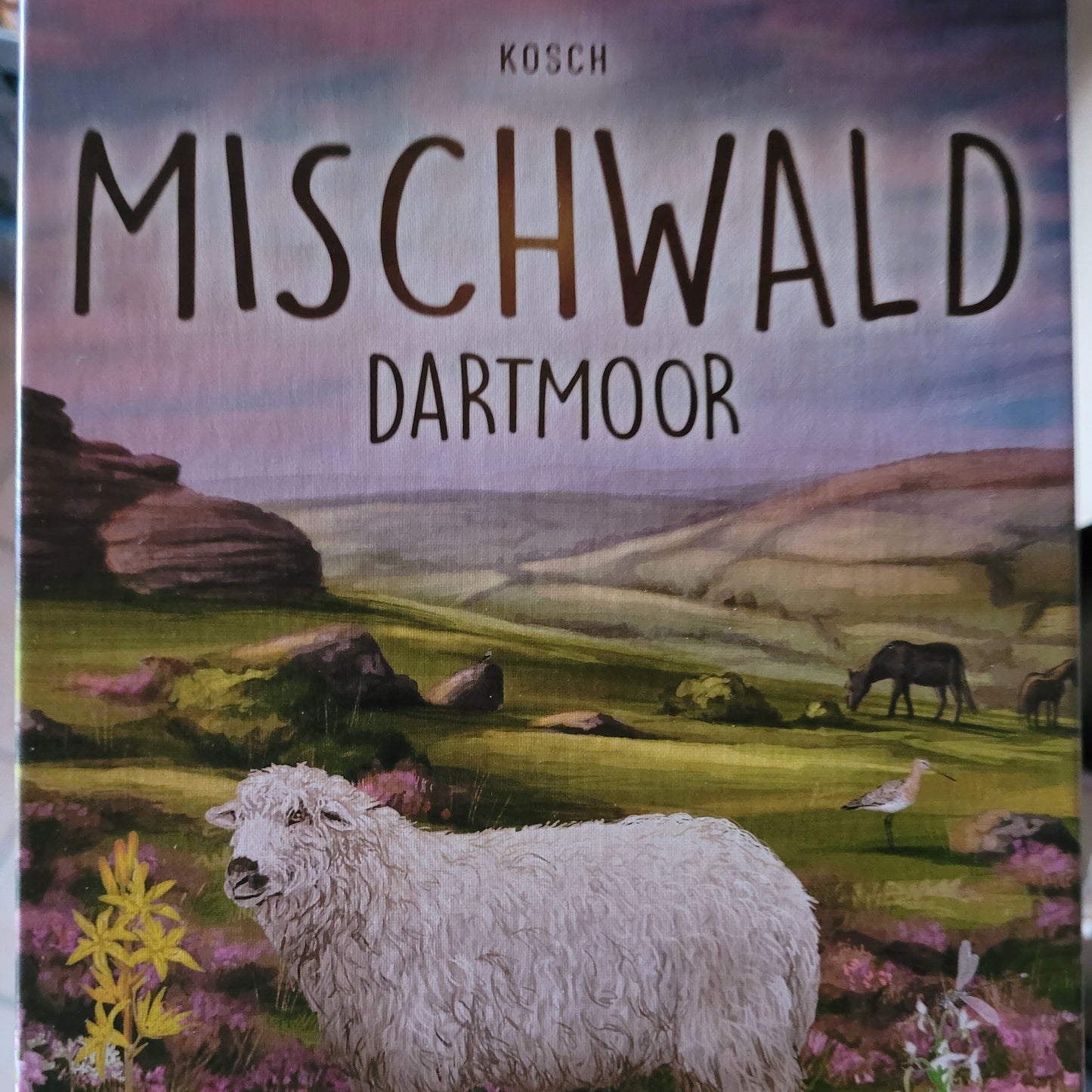 Mischwald - Dartmoor