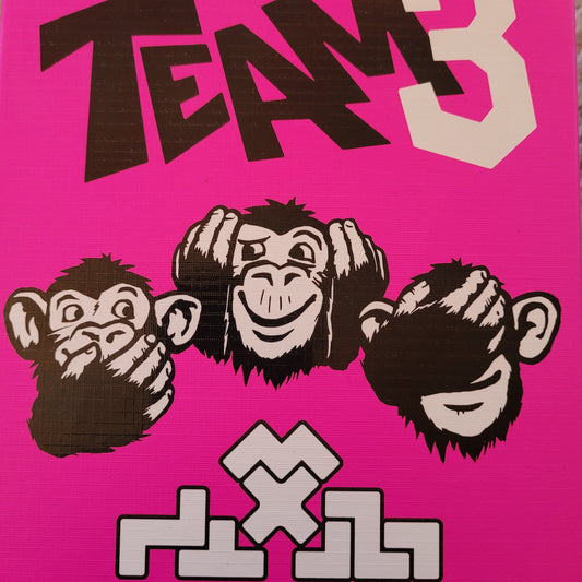 Team 3